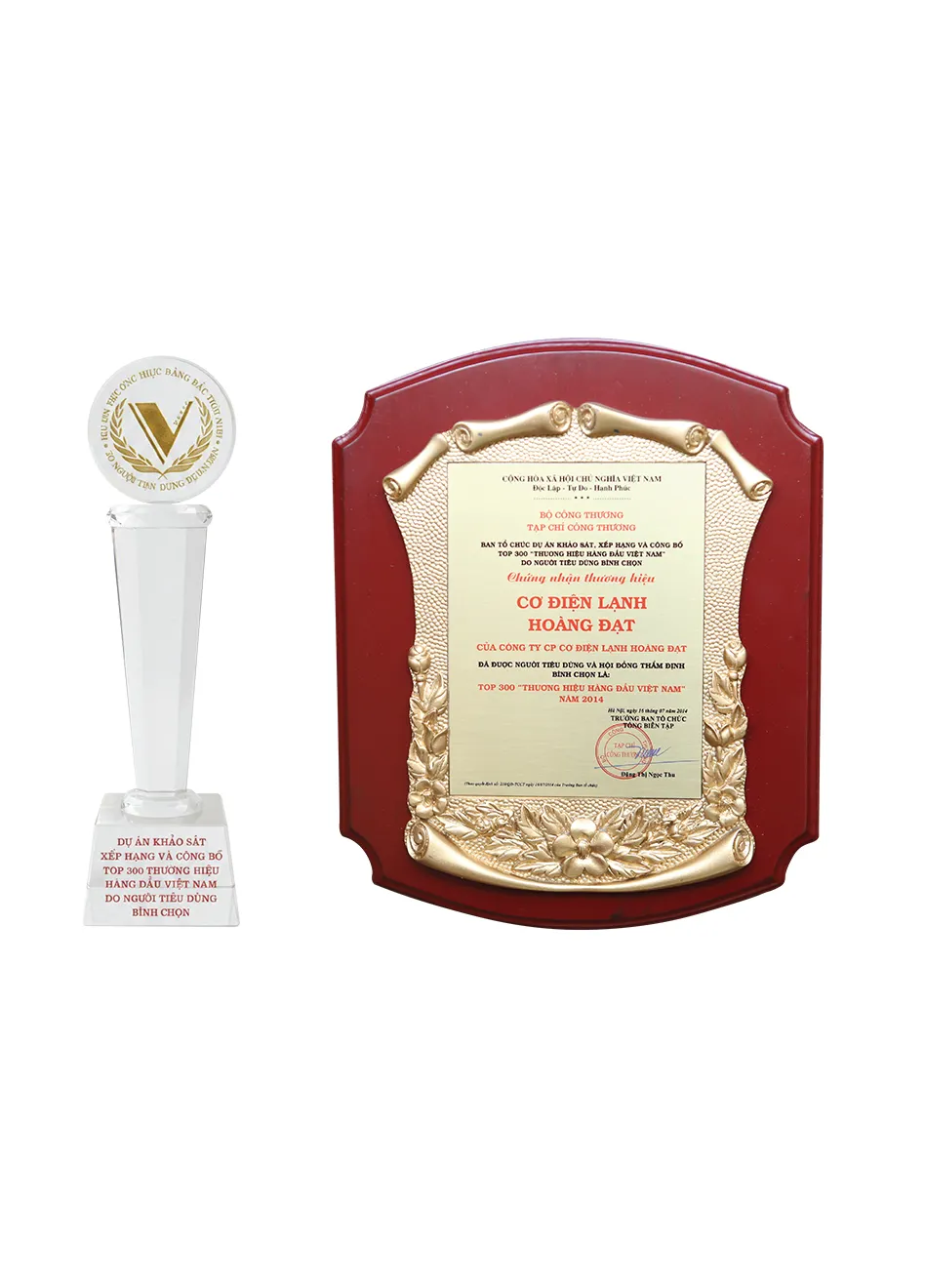 VINH DANH TOP 300 THƯƠNG HIỆU HÀNG ĐẦU VIỆT NAM